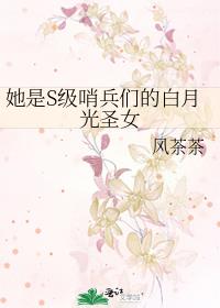 她是s级哨兵们的白月光圣女免费阅读